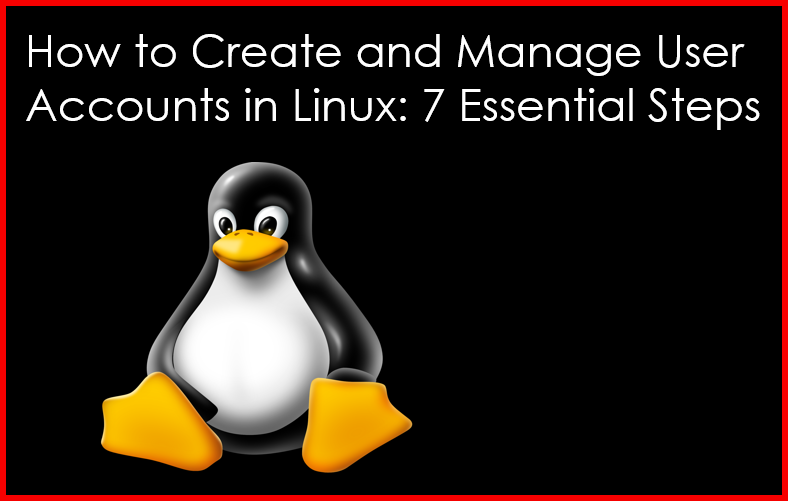 User Accounts in Linux