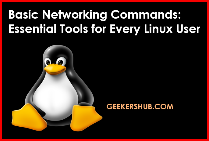 Basic Networking Commands