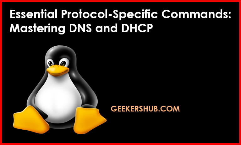 DNS and DHCP