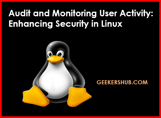 Audit and Monitoring User Activity